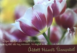 Húsvéti képeslap - tulipán 