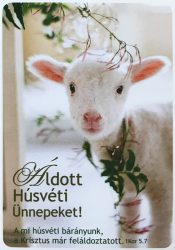 Húsvéti képeslap - bárány   