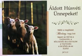 Húsvéti képeslap - bárányok