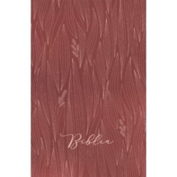 Biblia-egyszerű fordítás, puhaborítós, bordó fűszálas