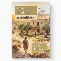 Jézus meglepő zsenialitása - Peter J. Williams