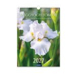 Nagy falinaptár 2027  – Meggyógyítom őt (virágos)